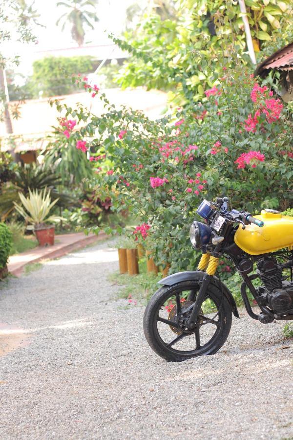 Kerala Bamboo House Hotel Varkala Zewnętrze zdjęcie